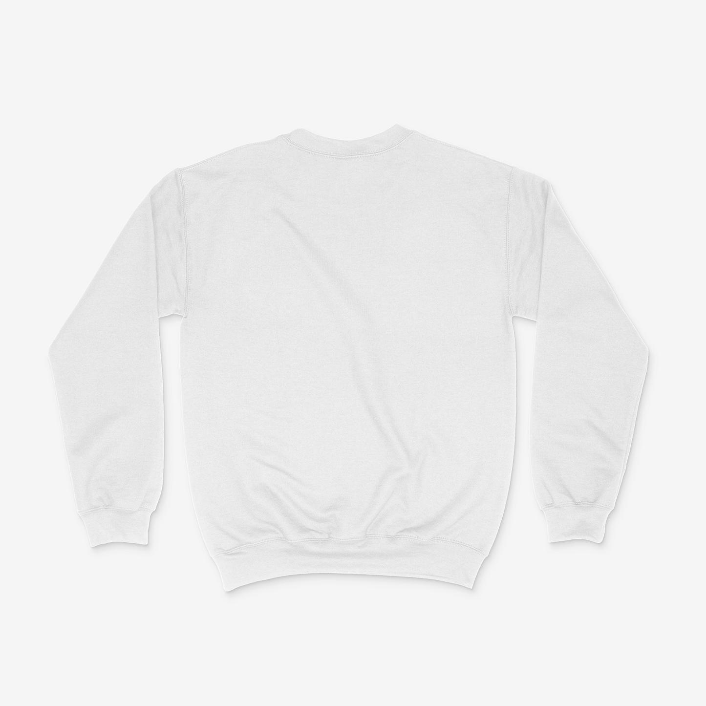 Dirt Road Outfitters "Iconic" Ladies Long Sleeve Sweatshirt - White